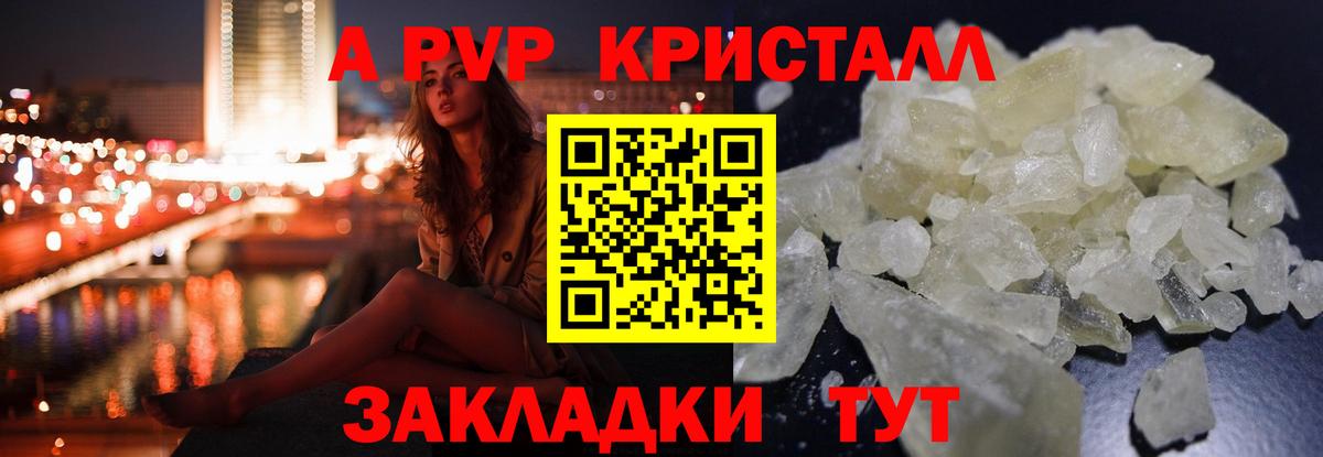 A PVP СК КРИС Нововоронеж